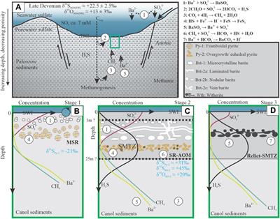 The Formation of Highly Positive δ34S Values in Late Devonian Mudstones: Microscale Analysis of Pyrite (δ34S) and Barite (δ34S, δ18O) in the Canol Formation (Selwyn Basin, Canada)